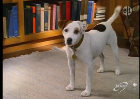Fun fact: Wishbone was played by a dog named 