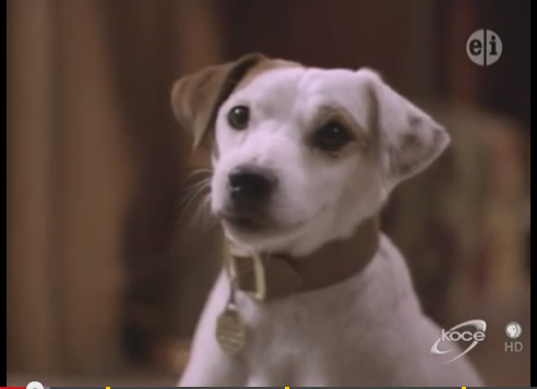 Sweet Jesus early CGI is horrifying -- I think they were trying to make Wishbone smile but somehow they've made it look like Wishbone plans on reenacting American Psycho instead of Oliver Twist. 